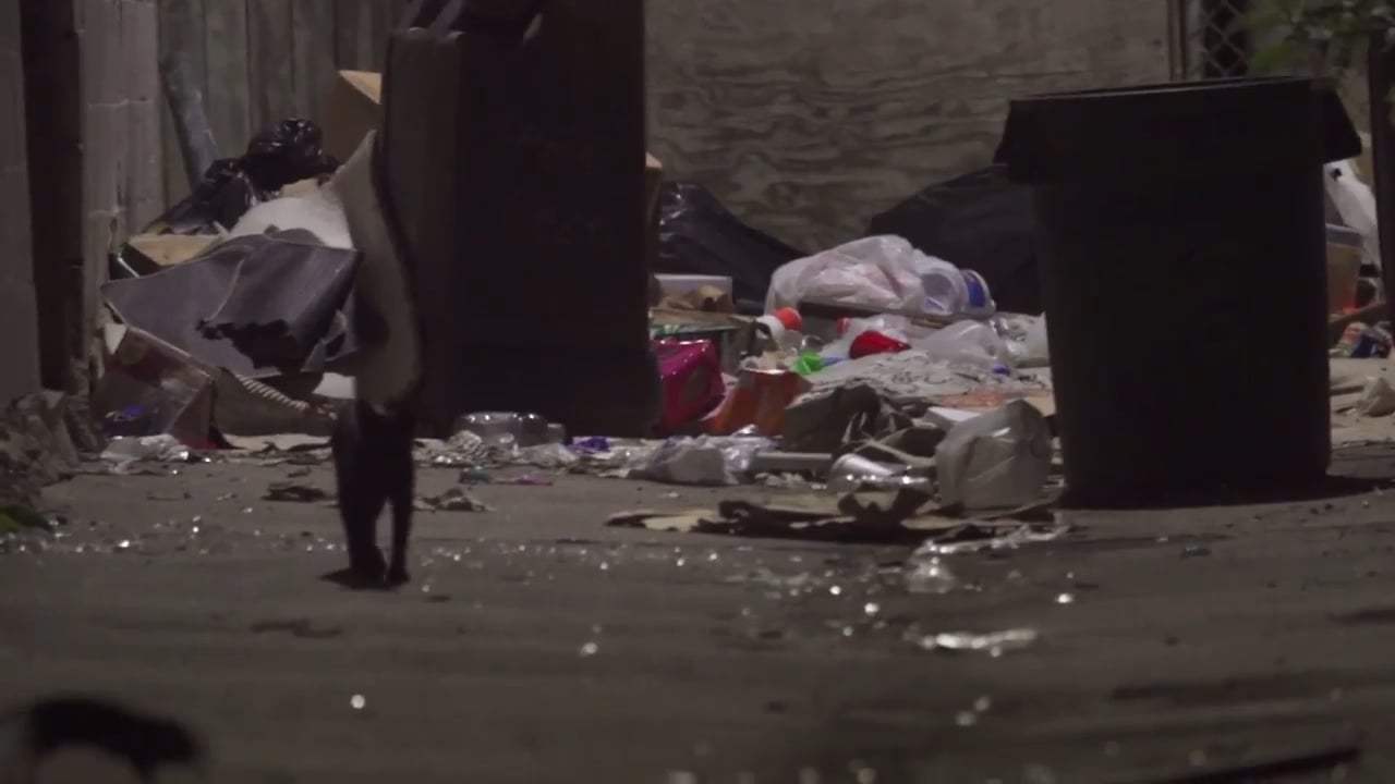 Rat Film (2017) - Norway Rat