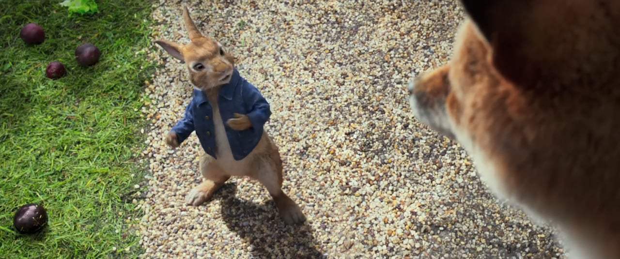 Peter Rabbit Trailer (2018)