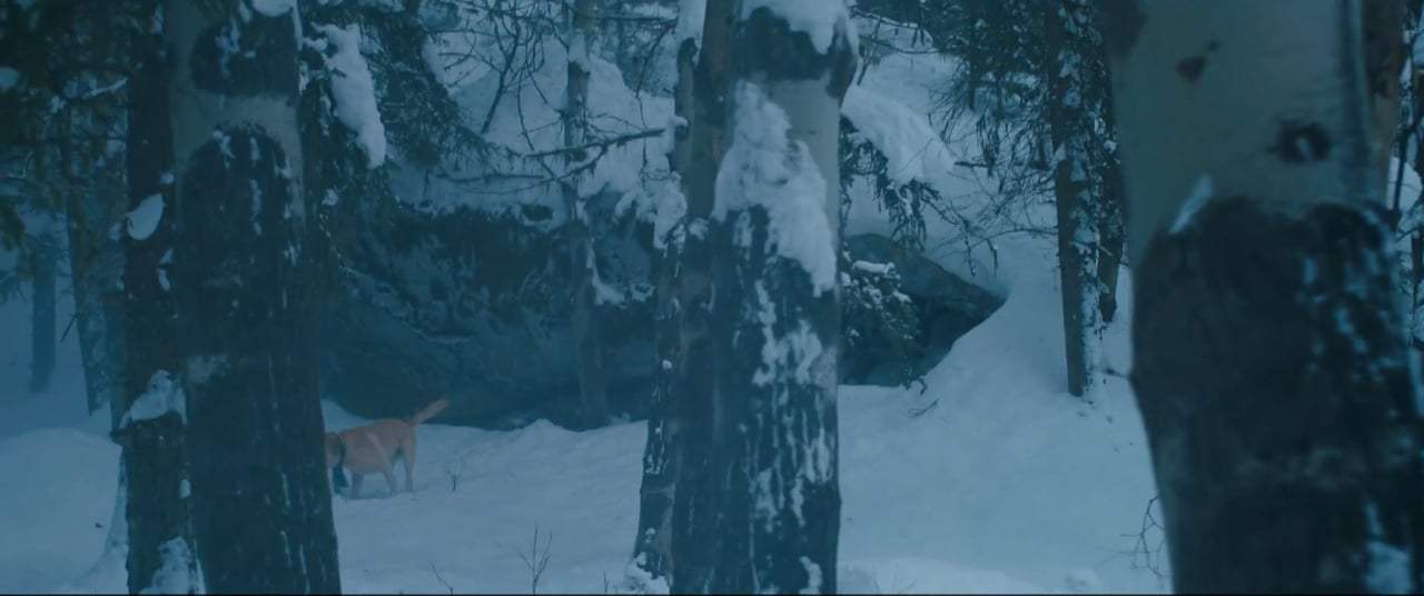 The Mountain Between Us (2017) - Thin Ice