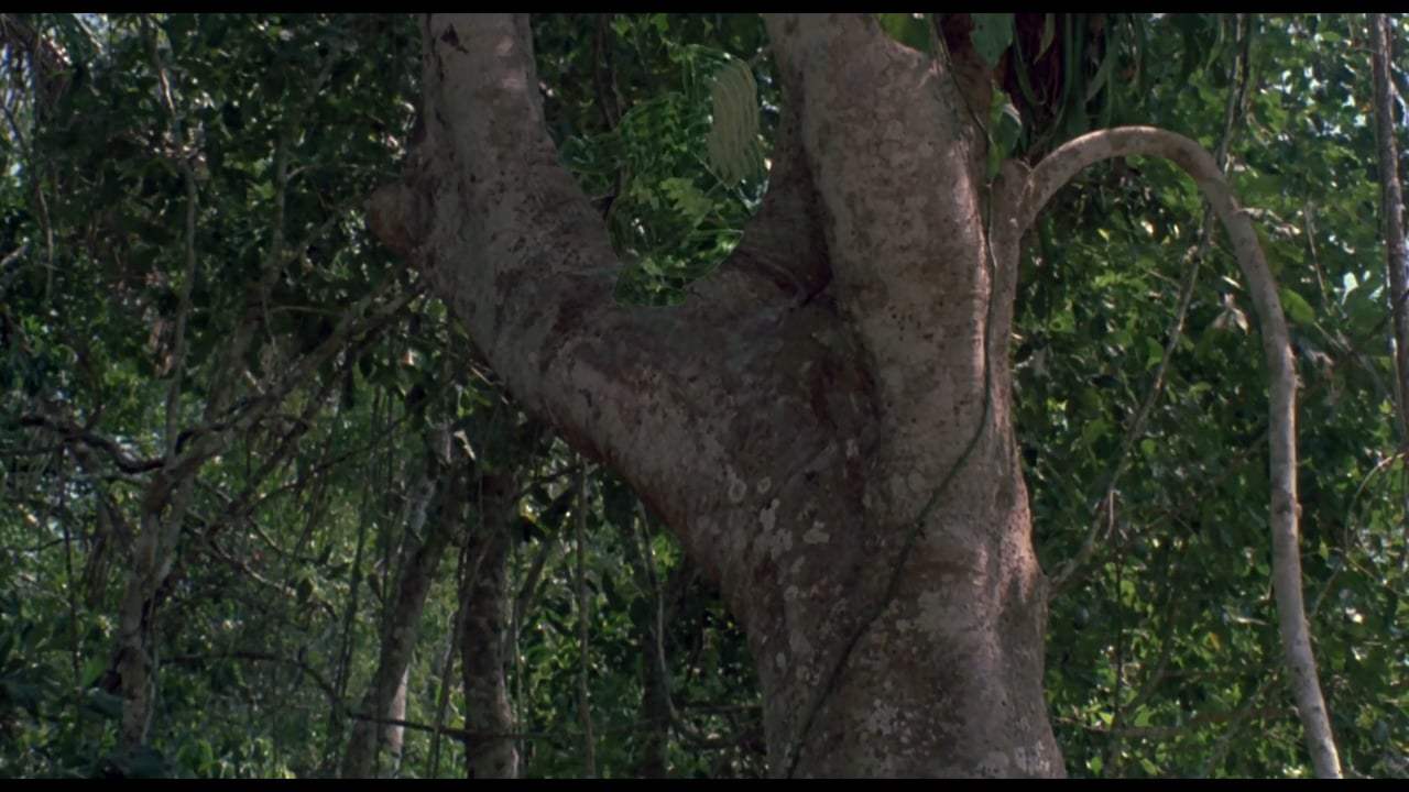 Predator 30th Anniversary Trailer (1987)