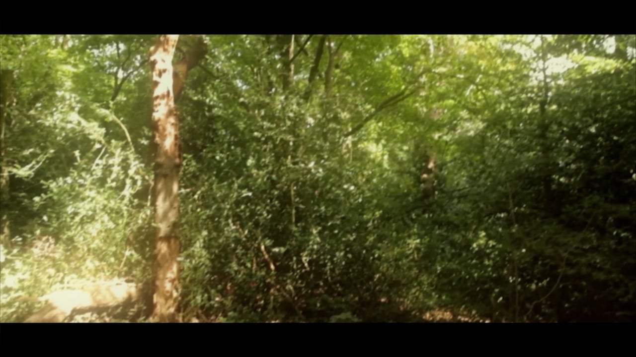 Antihuman Trailer (2017)
