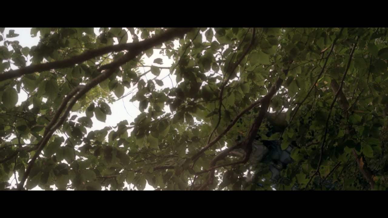 Singularity Trailer (2017)