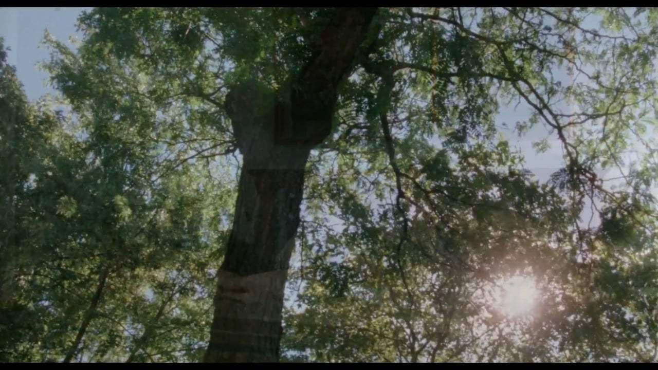 Golden Exits Trailer (2017)