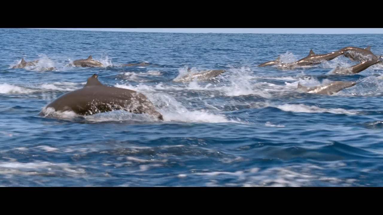 The Mercy TV Spot - Dreamer (2018)