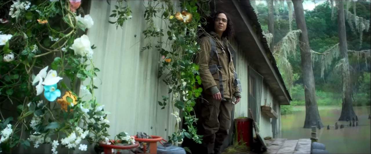 Annihilation TV Spot - Theory (2018)