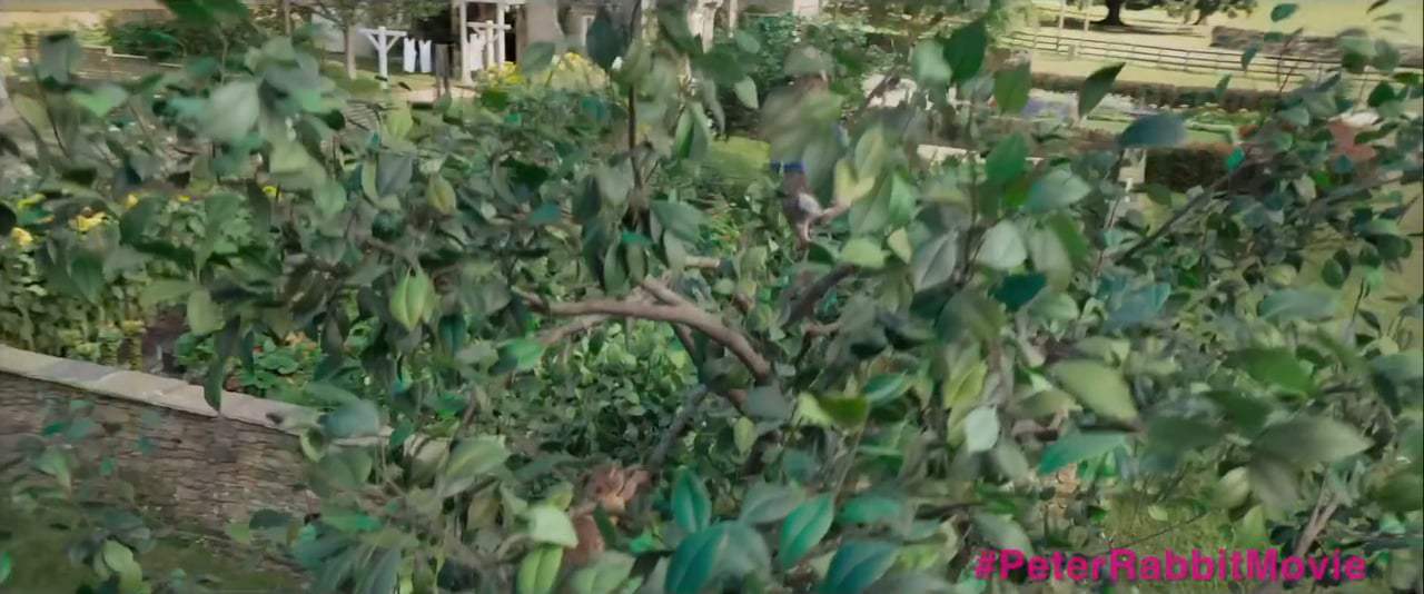Peter Rabbit (2018) - Individual Talents