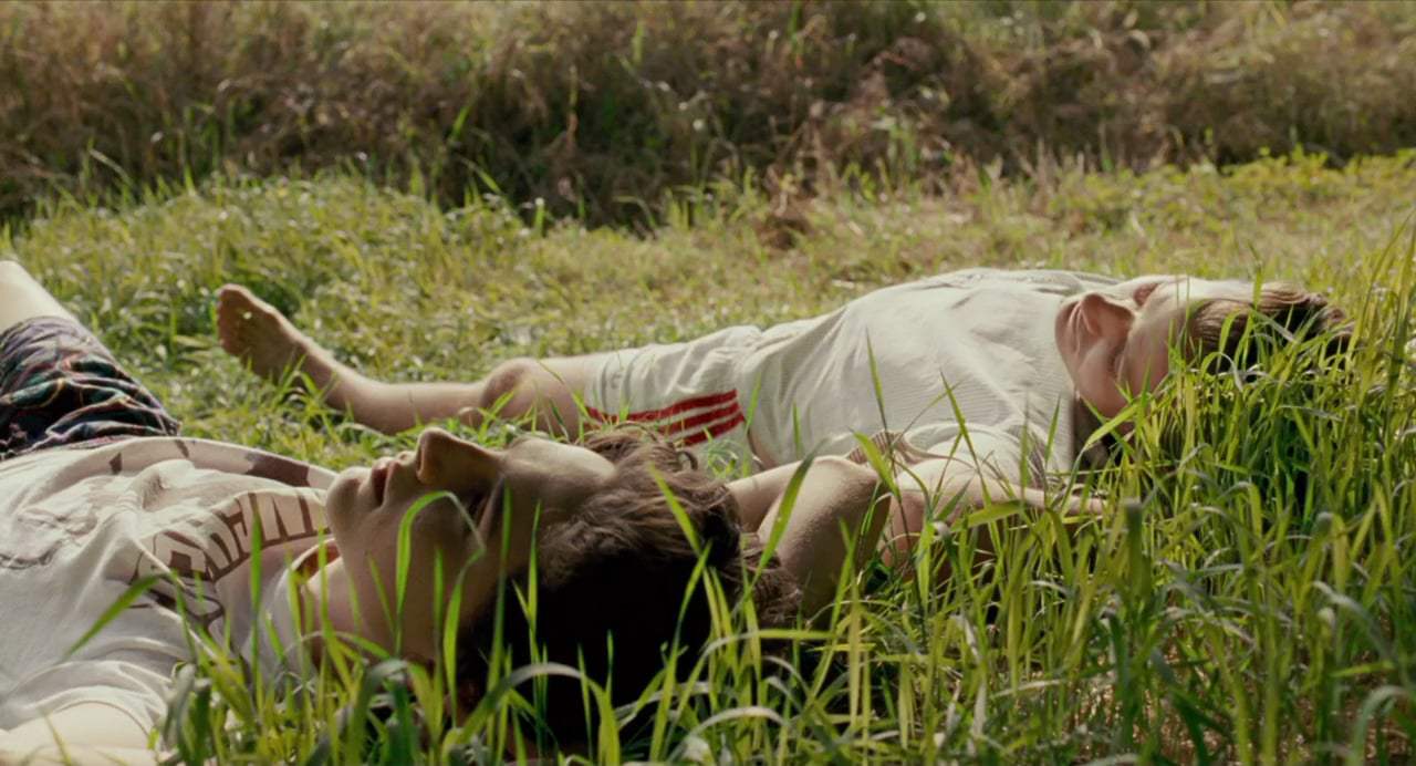 Call Me by Your Name Music Video -