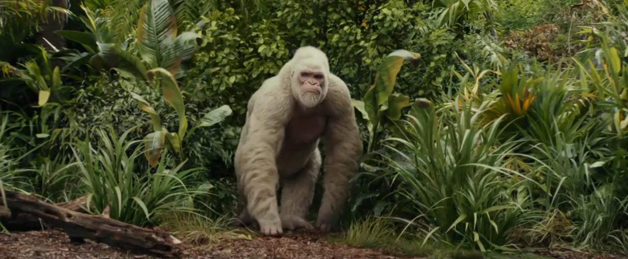 Rampage International Trailer (2018)