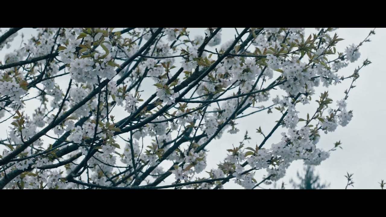 The Guardians Trailer (2018)