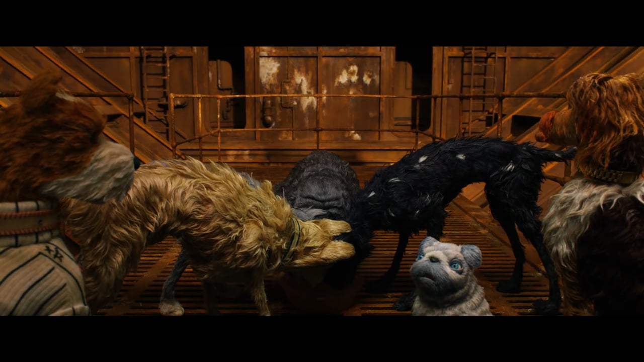 Isle of Dogs (2018) - Dog Zero