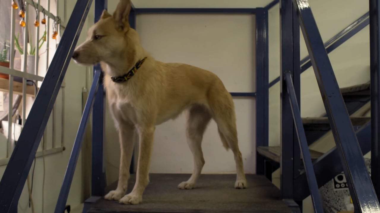 Isle of Dogs Featurette - An Ode to Dogs on Set (2018)