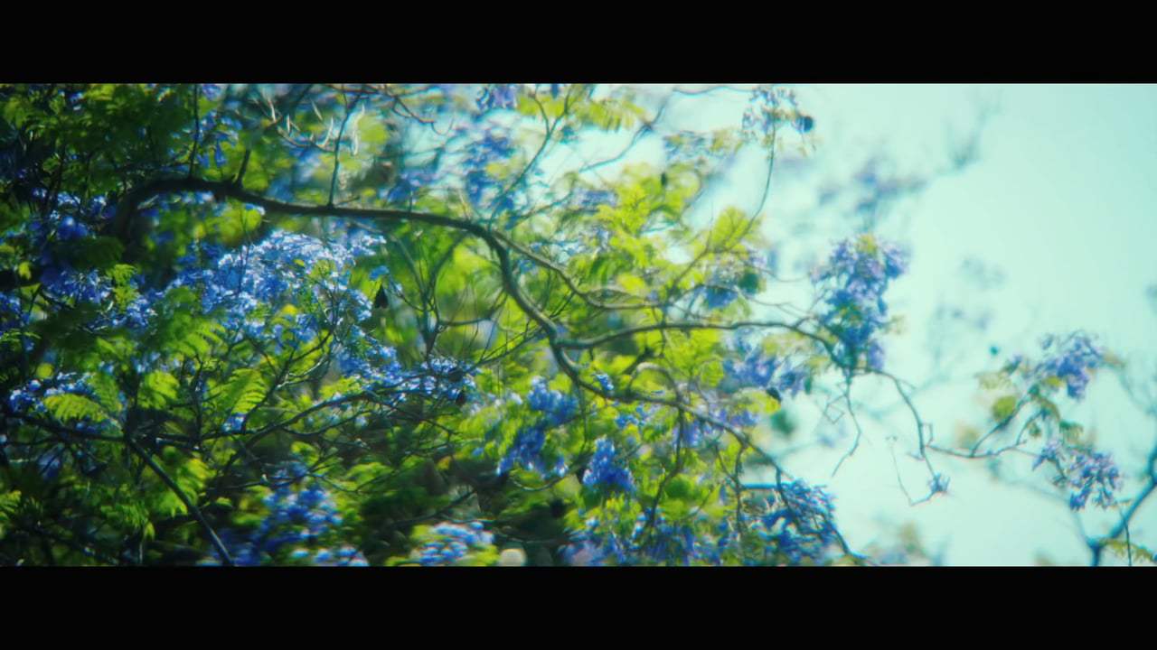 Anything Trailer (2018)