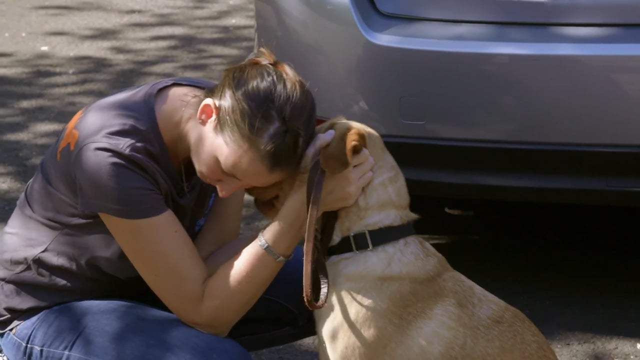 Pick of the Litter Trailer (2018)