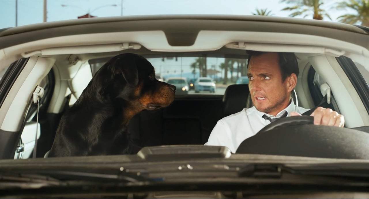Show Dogs (2018) - My Music