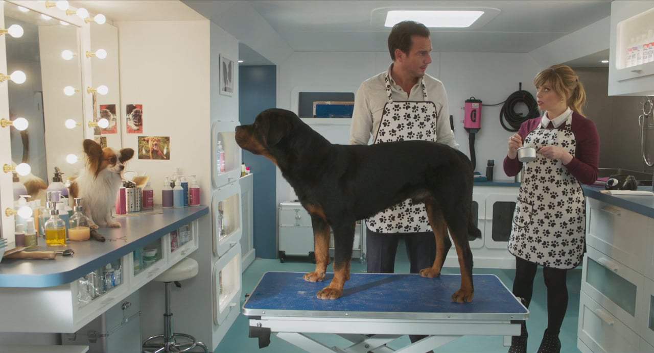 Show Dogs (2018) - Bikini Wax