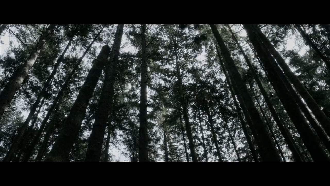 The Hollow Child Trailer (2018)