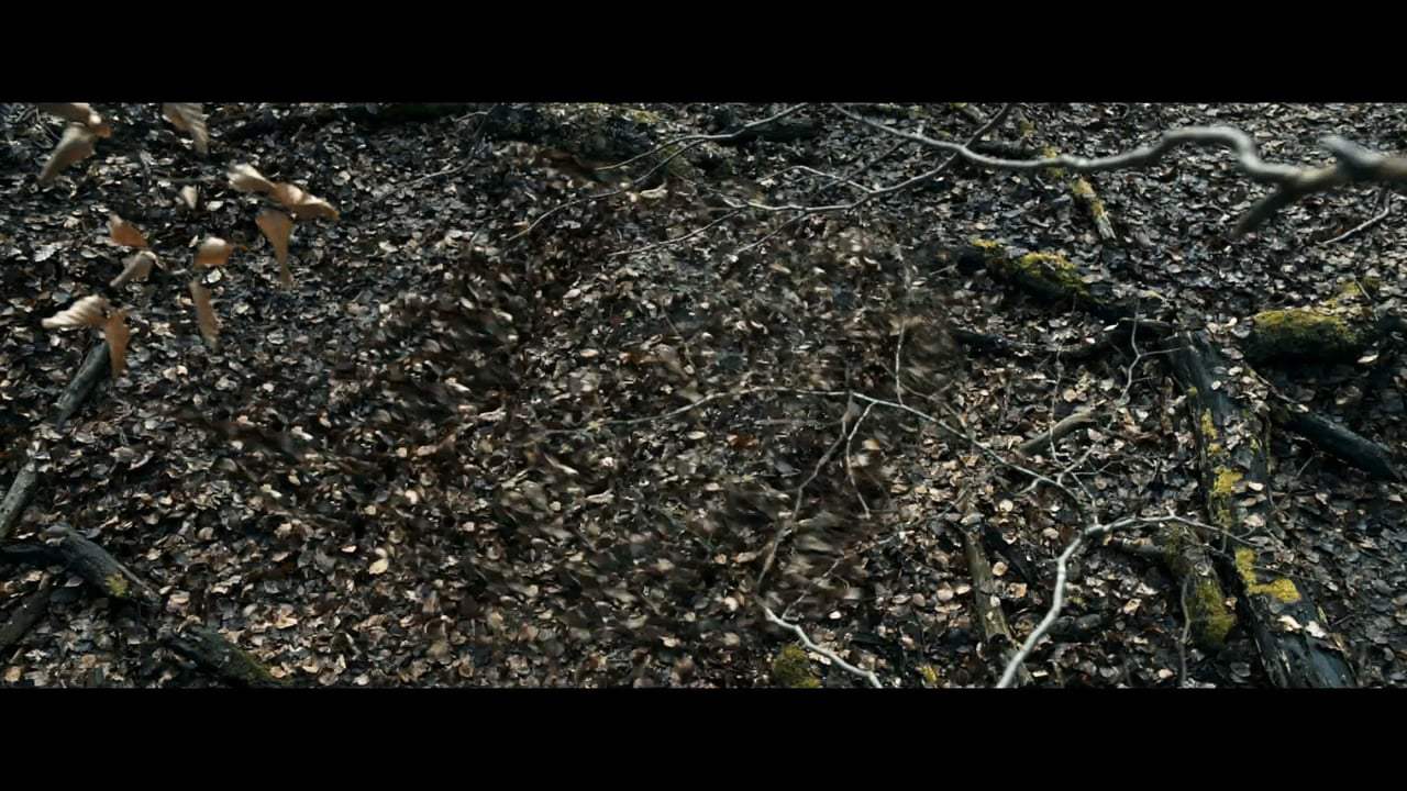 The Foreigner TV Spot - Own It (2017)