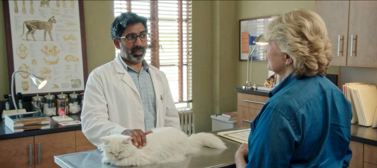 Book Club (2018) - Lethargic Cat