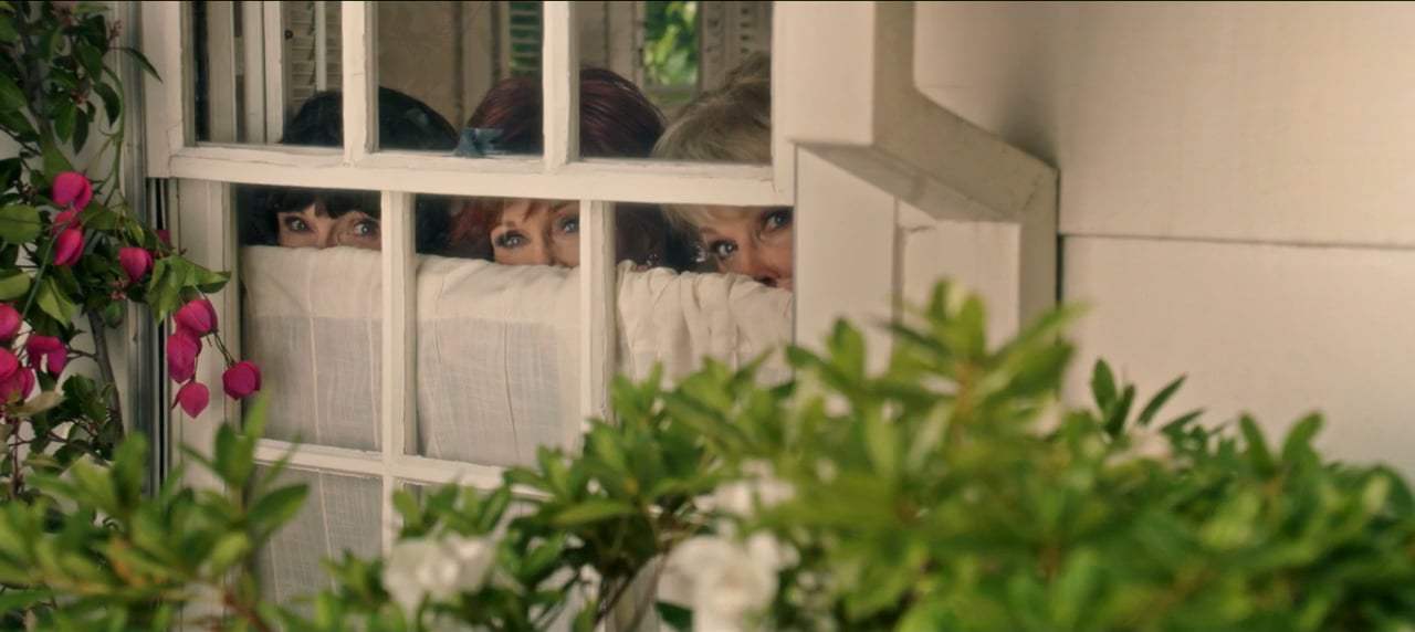 Book Club (2018) - He Brought Flowers