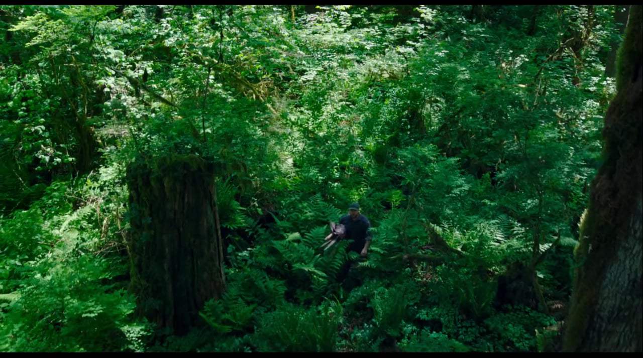 Leave No Trace TV Spot - Powerful (2018)