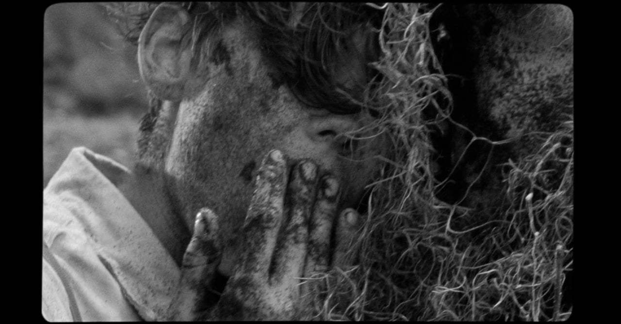 The Wild Boys Trailer (2018)