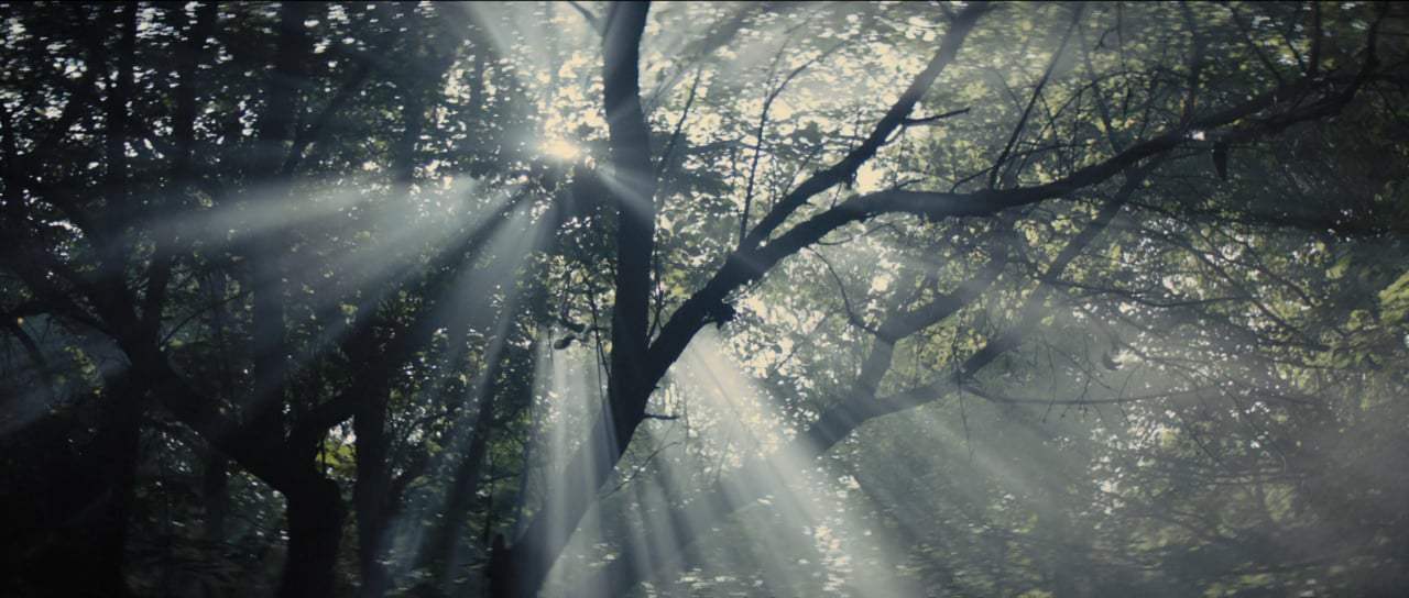 Pet Sematary Trailer (2019)