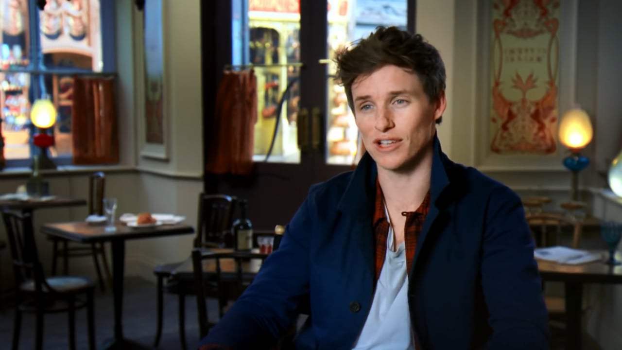 Fantastic Beasts: The Crimes of Grindelwald Featurette - Newt's New Grindelwald (2018)