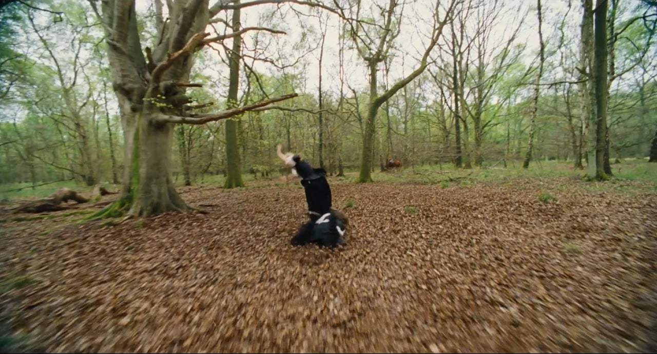 The Favourite TV Spot - Fun to be Queen (2018)