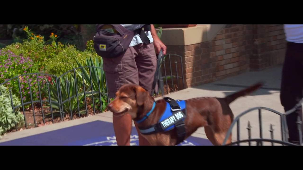 A Dog's Way Home Featurette - Finding Bella (2019)