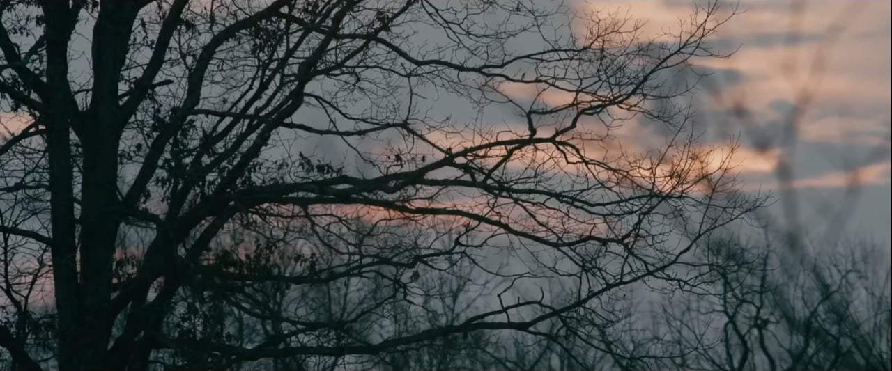 Rust Creek Trailer (2019)