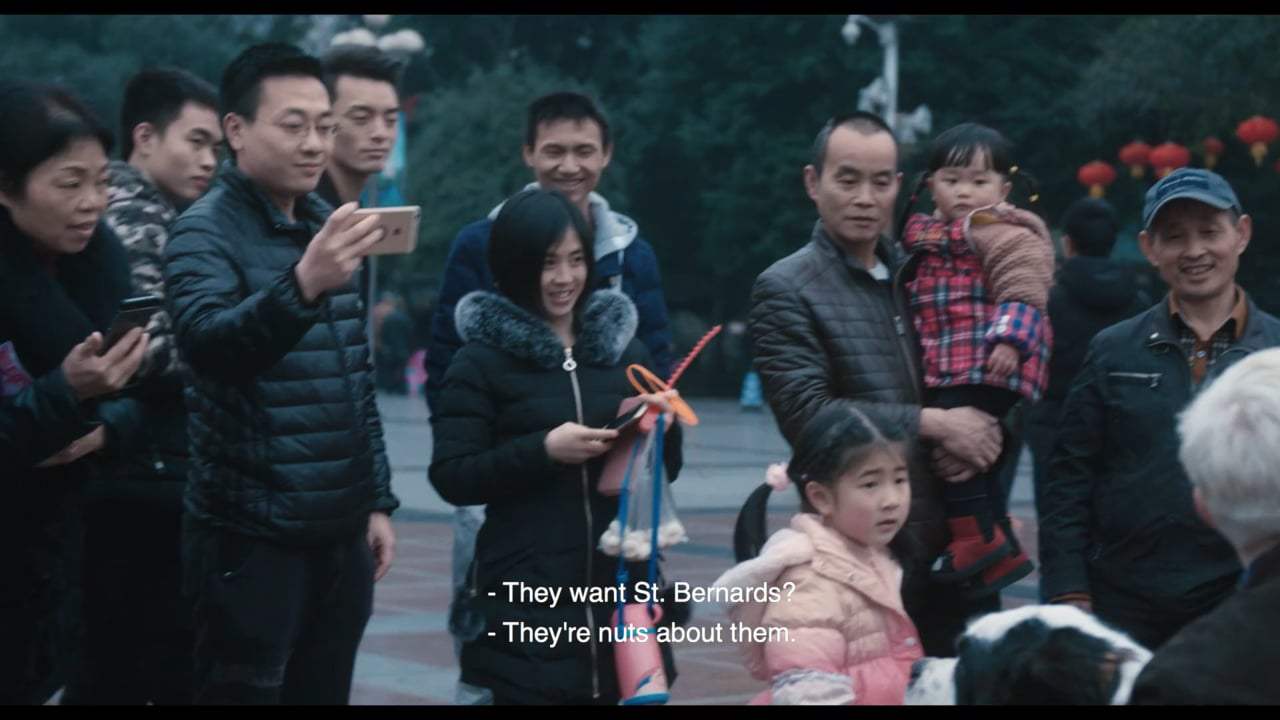 St. Bernard Syndicate Trailer (2018)