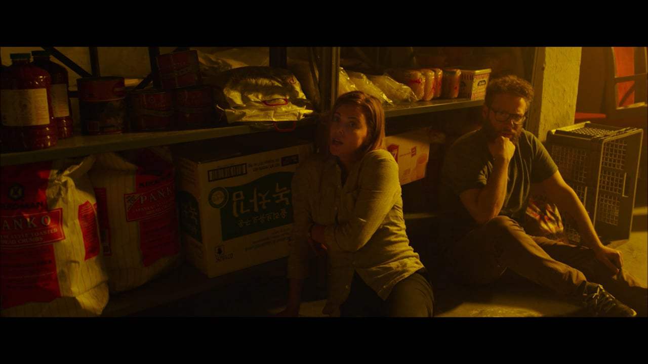 Long Shot Teaser Announcement (2019)