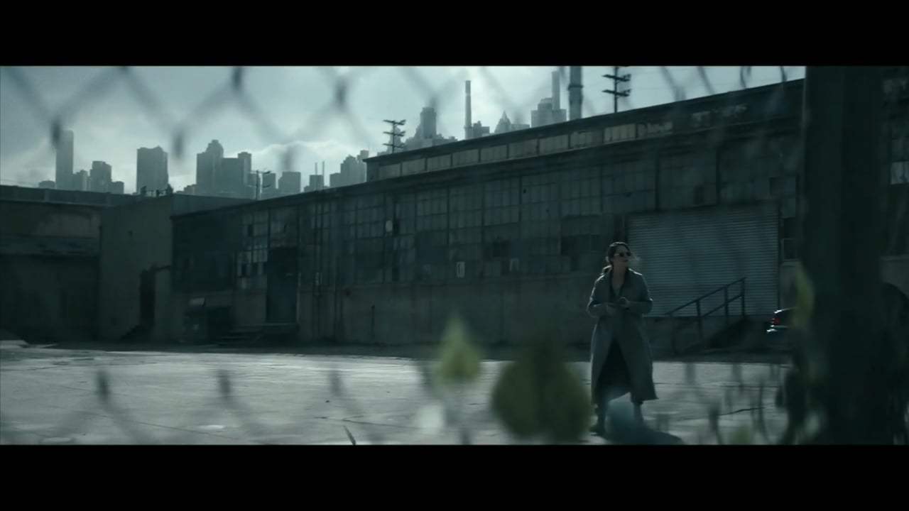 Stray Trailer (2019)