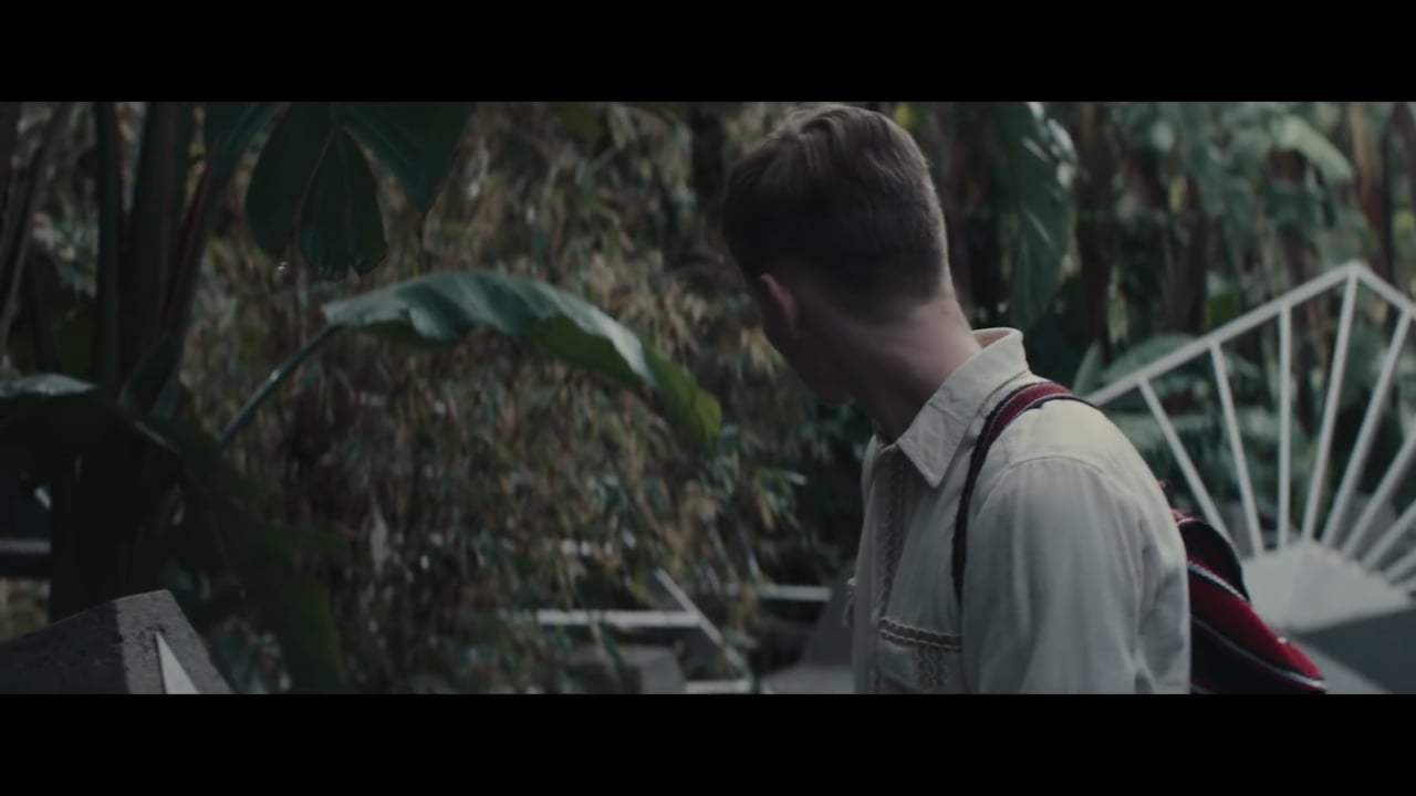 Perfect Trailer (2019)