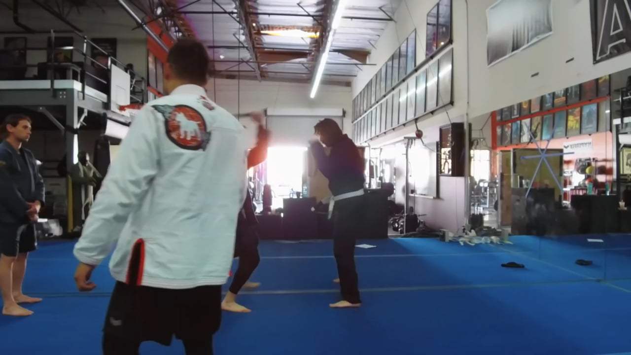 John Wick: Chapter 3 - Parabellum Featurette - Training (2019)