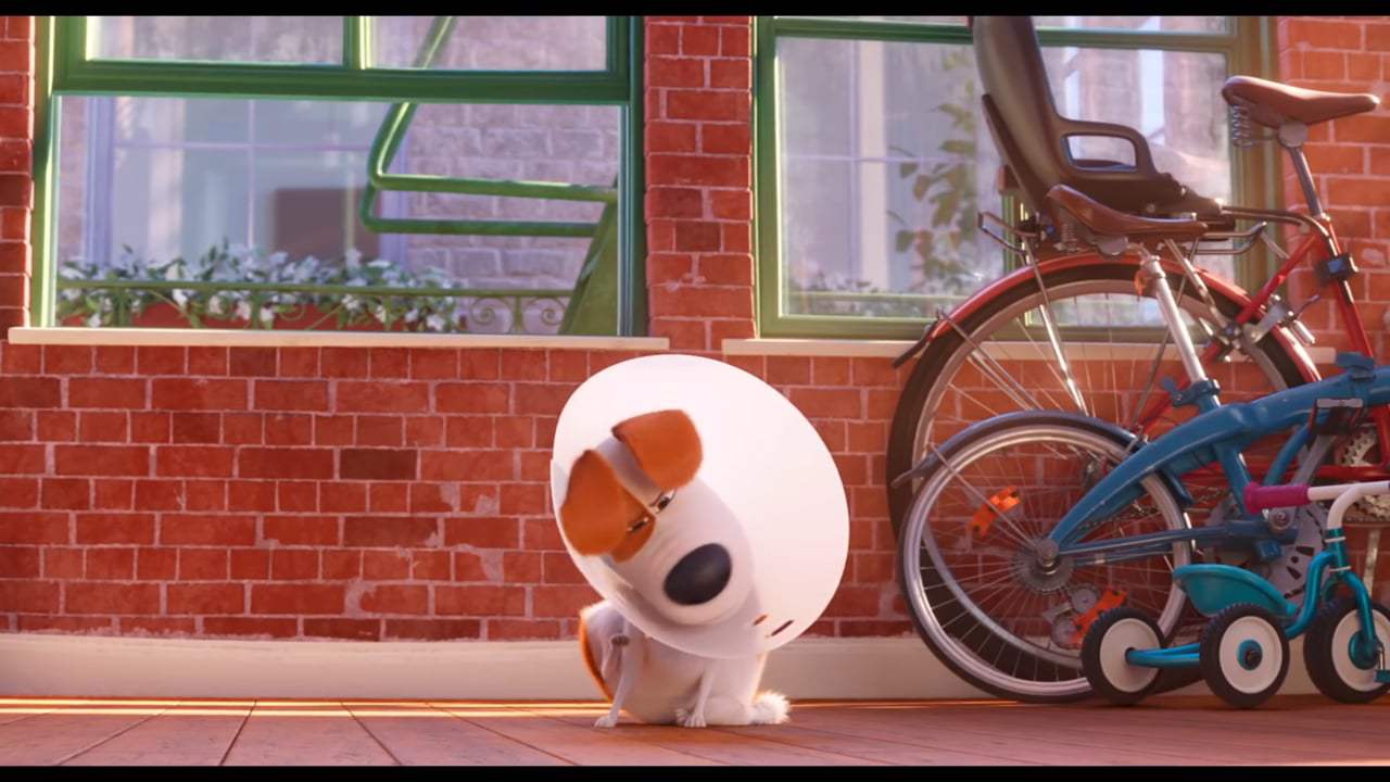 The Secret Life of Pets 2 Final Trailer (2019)