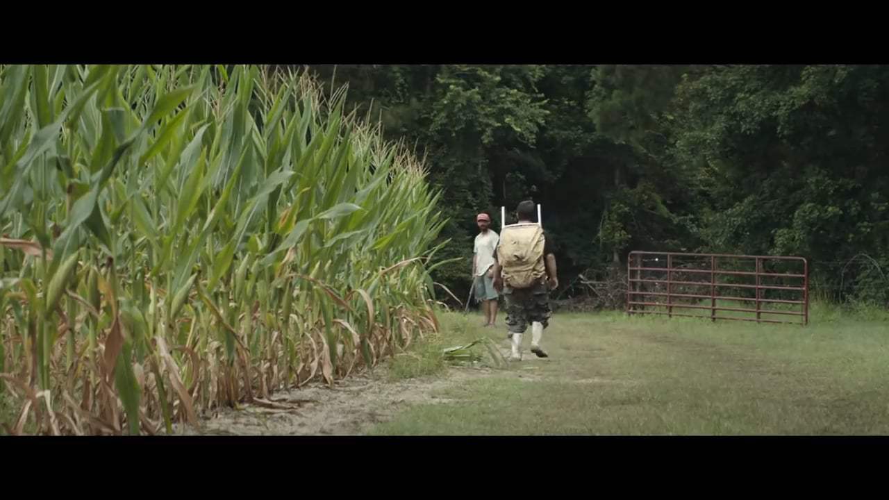The Peanut Butter Falcon Trailer (2019)