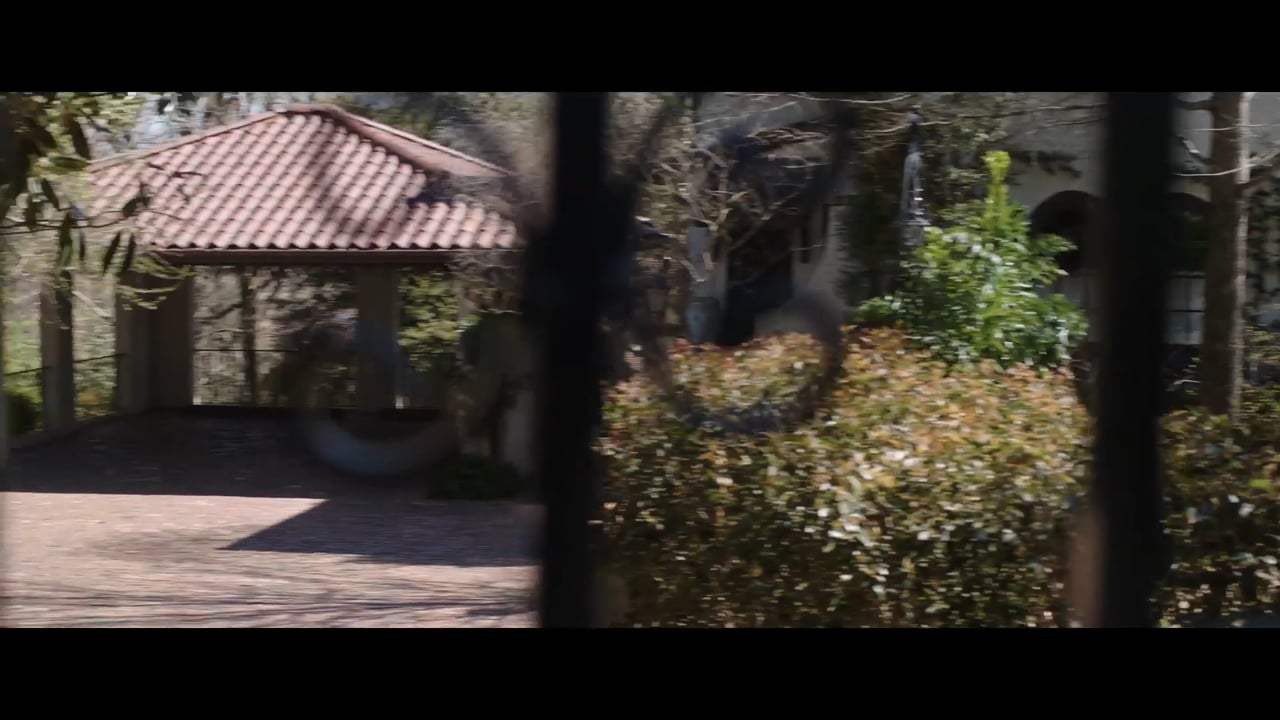 The Fanatic Trailer (2019)