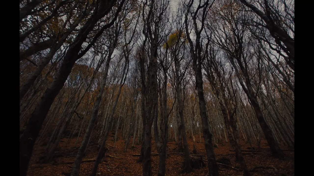 Gretel & Hansel Teaser Trailer (2020)