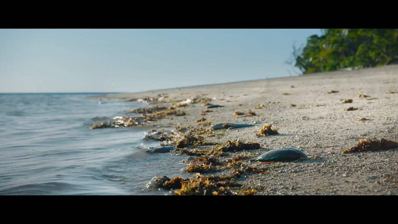 Sweetheart Trailer (2019)