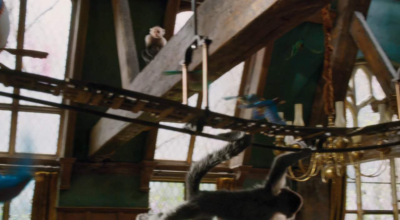 Dolittle Trailer (2020)