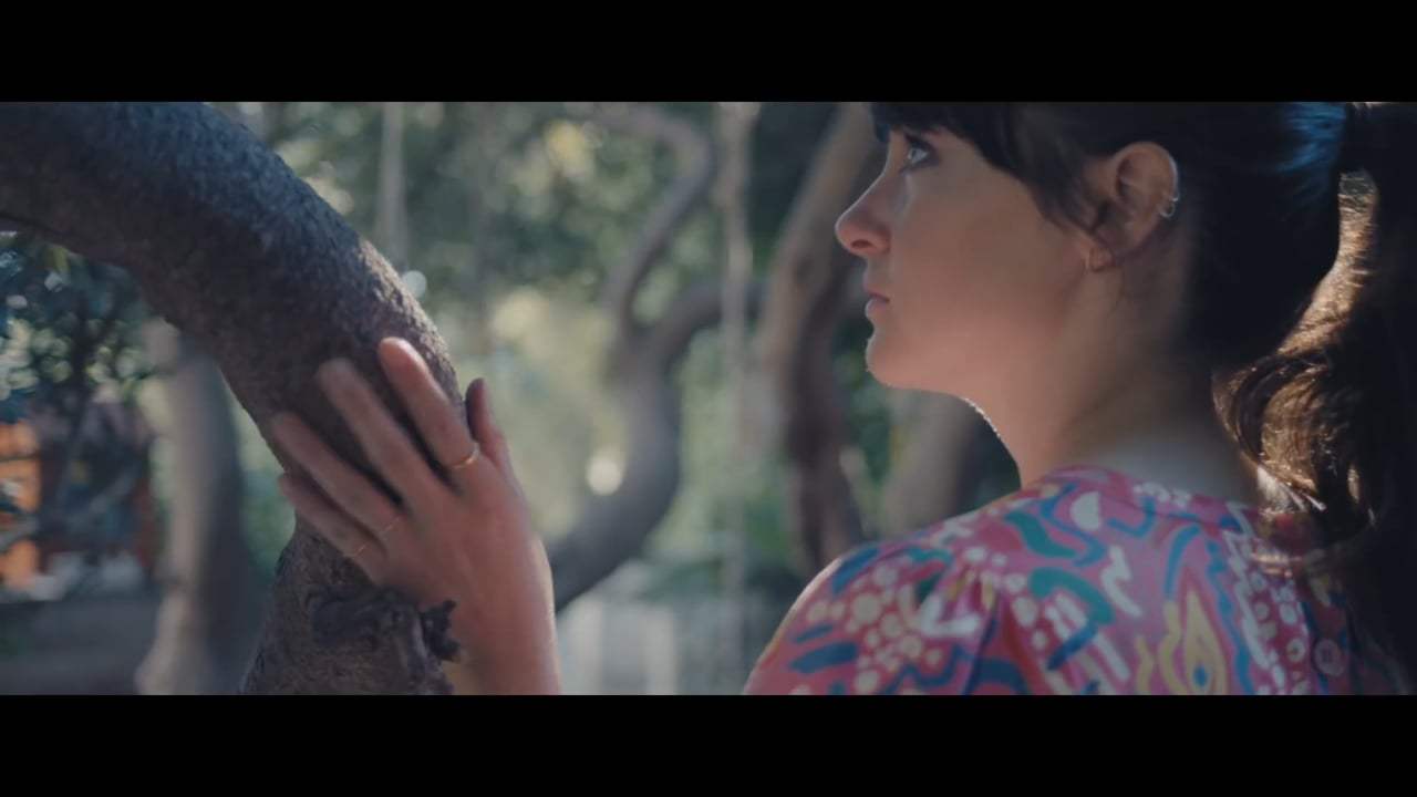 Endings, Beginnings Trailer (2020)