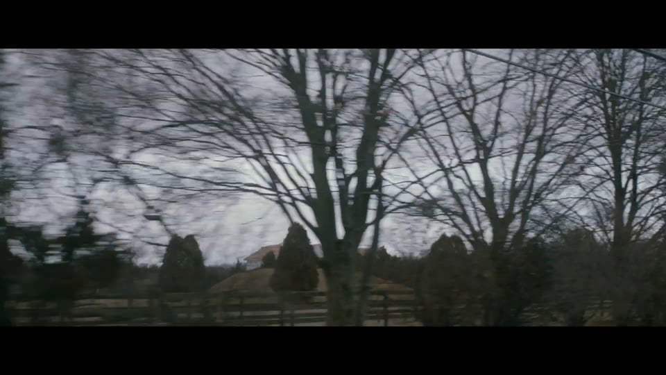 The Artist's Wife Trailer (2020)