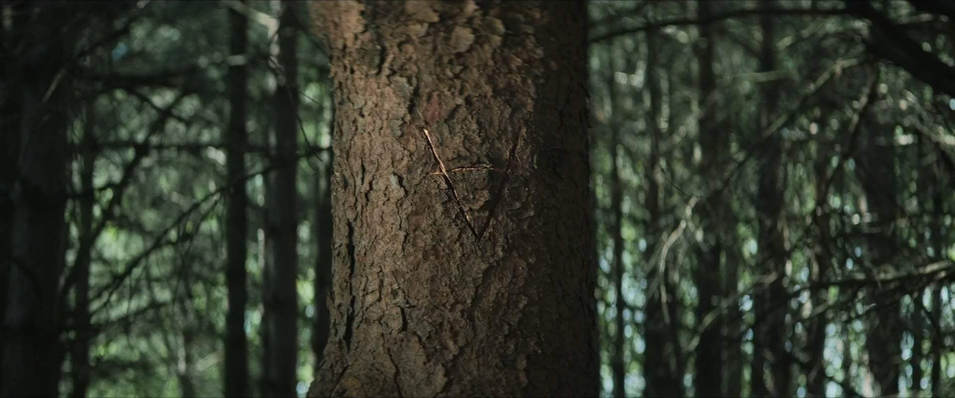 The Wretched Trailer (2020)