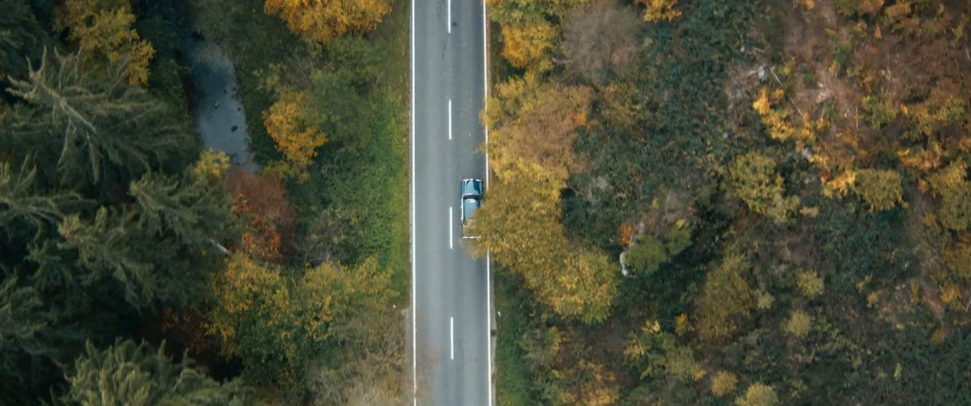 Skin Walker Trailer (2020)