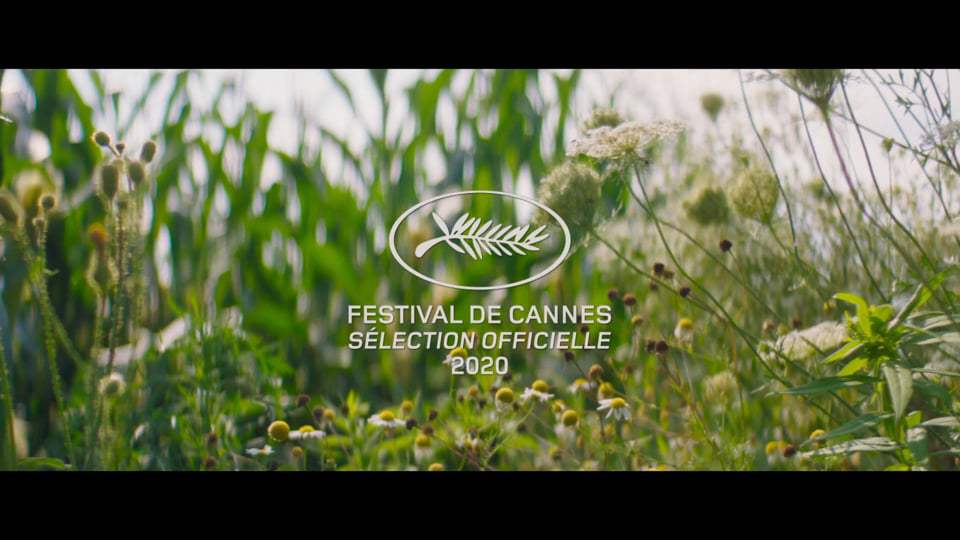 Falling International Trailer (2020)