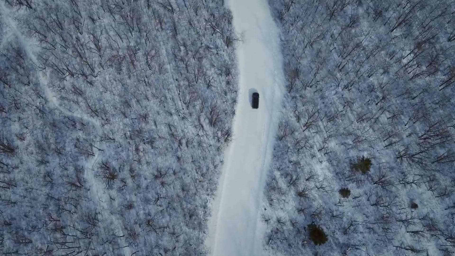 Toys of Terror Trailer (2020)