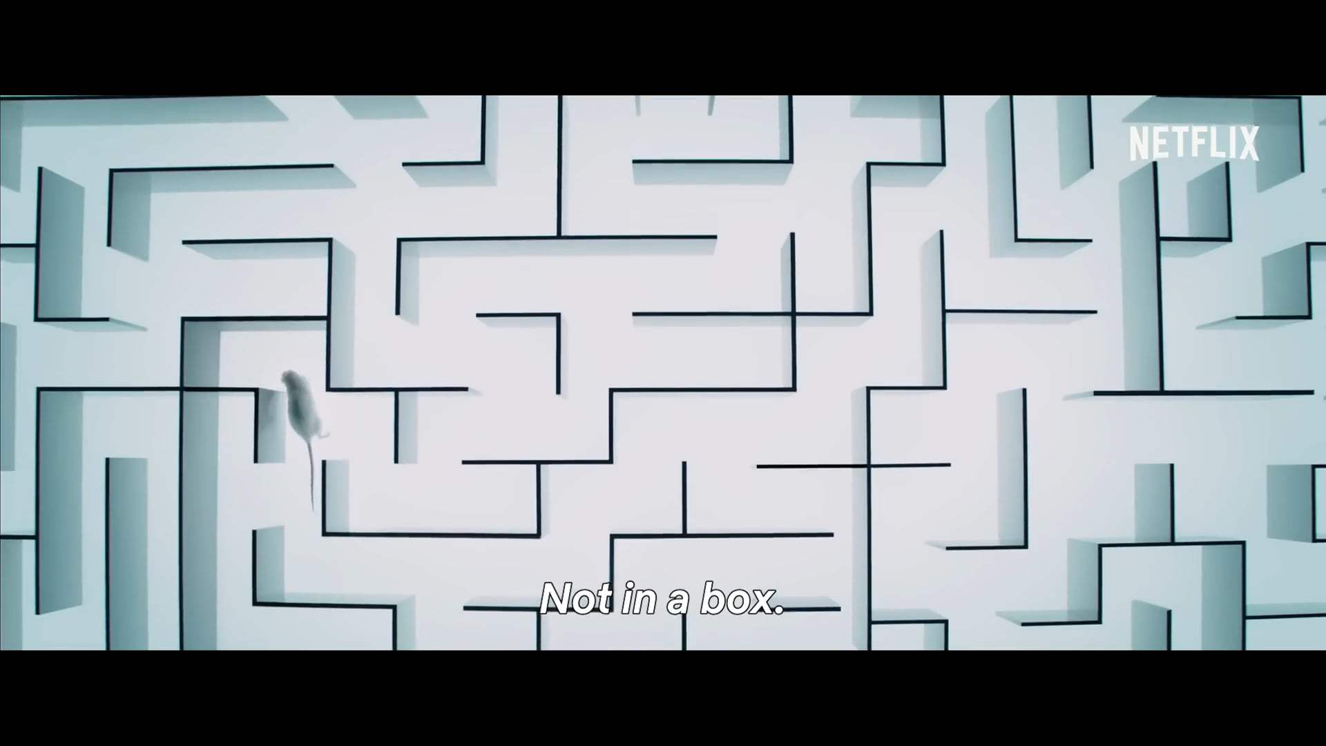 Oxygen Trailer (2021)