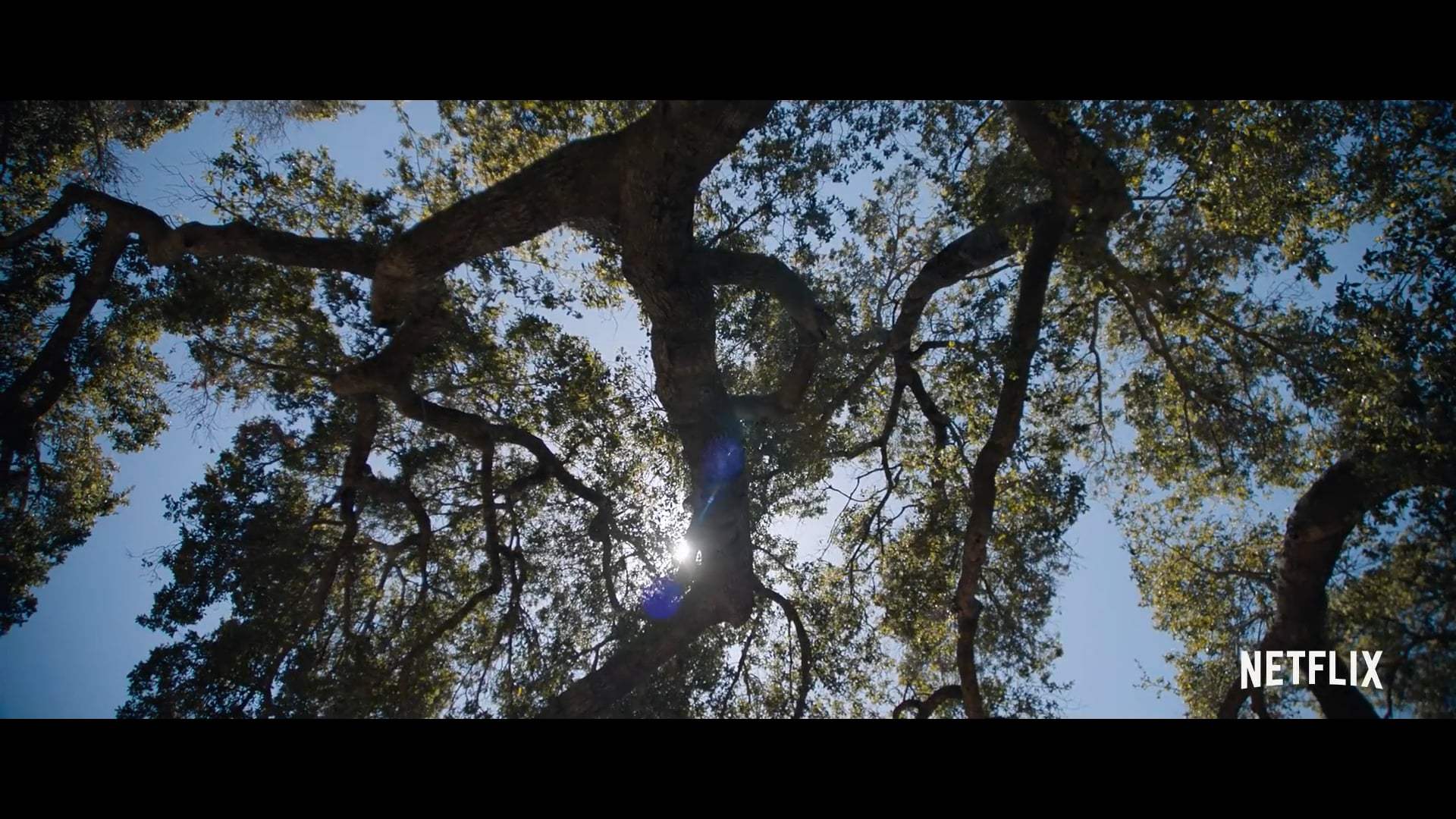 Windfall Trailer (2022)