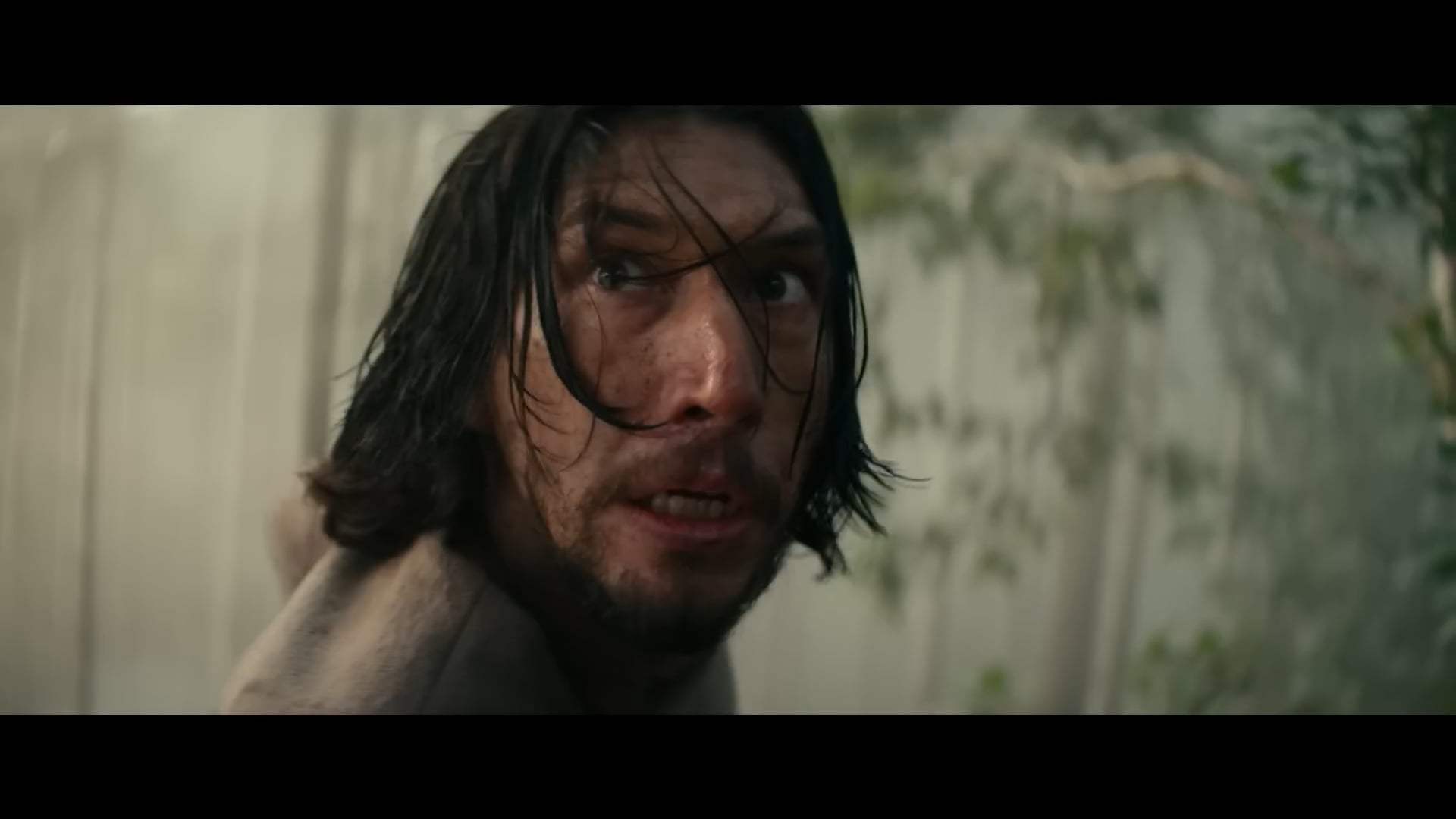 65 International Trailer (2023)